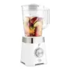 Blender Fakir SB4029 Smothie (8682511906181) | Onlaynal.az